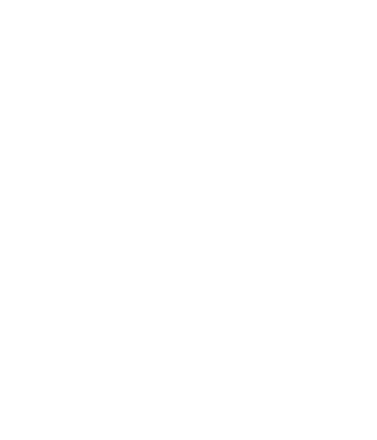 Elezovic Rent a Car Logo